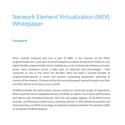 network-element-virtualization